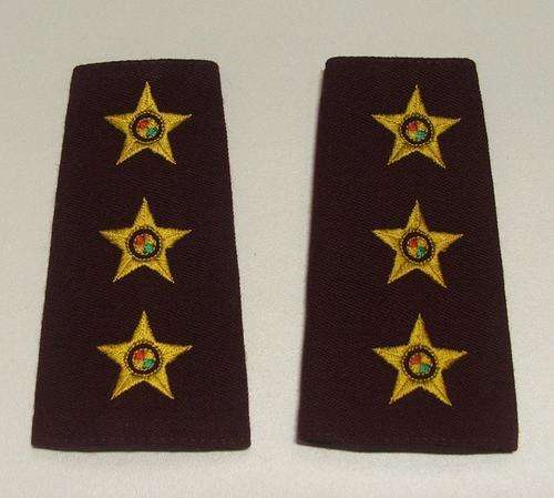SADF. MEDICAL CORPS CAPTAINS SHOULDER RANKS ( NOTE CONDITION )