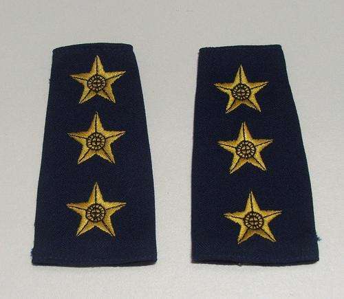 SAP. CAPTAIN SHOULDER RANK ( NOTE CONDITION )