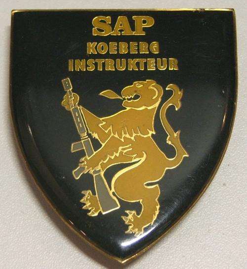 SAP. KOEBERG INSTRUKTEUR  SHOULDER FLASH 3 PINS