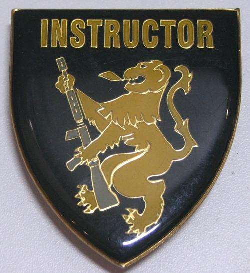 SAP. INSTRUCTOR SHOULDER FLASH 3 PINS
