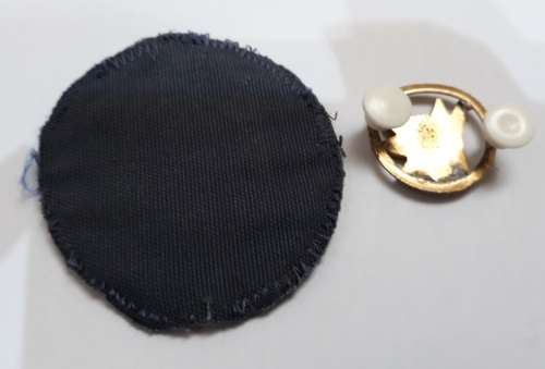 SAP Dog Unit Badge + SAP Cloth Badge Old Coat of Arms  --- One Bid For Bothe Badges ---