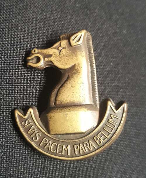 South African Battle School Cap Badge
