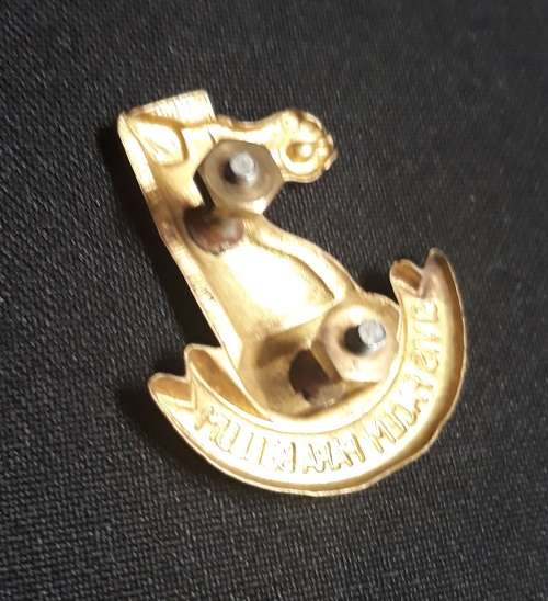 South African Battle School Cap Badge