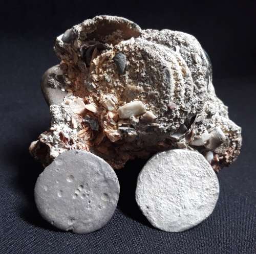Coin Cluster /  Conglomerate Of Silver Rider Coins ** Retrieved from Shipwreck Meerensteijn Q9