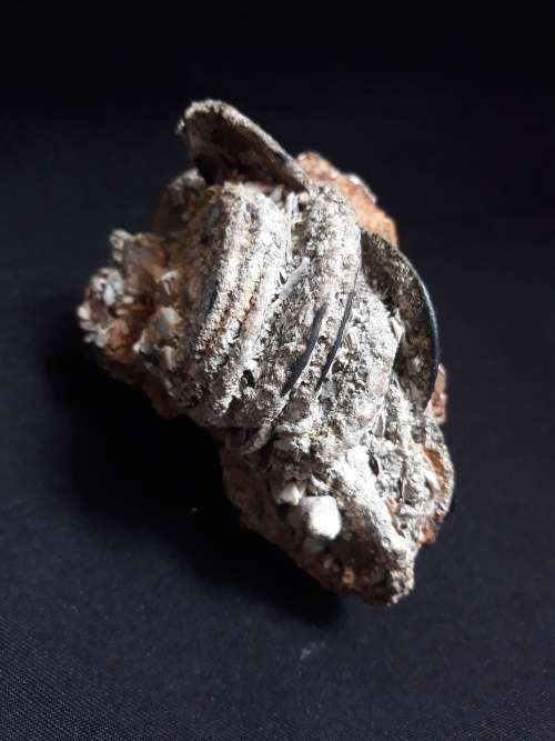 Coin Cluster /  Conglomerate Of Silver Rider Coins ** Retrieved from Shipwreck Meerensteijn Q9
