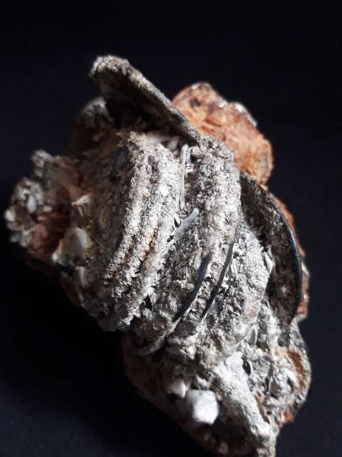Coin Cluster /  Conglomerate Of Silver Rider Coins ** Retrieved from Shipwreck Meerensteijn Q9