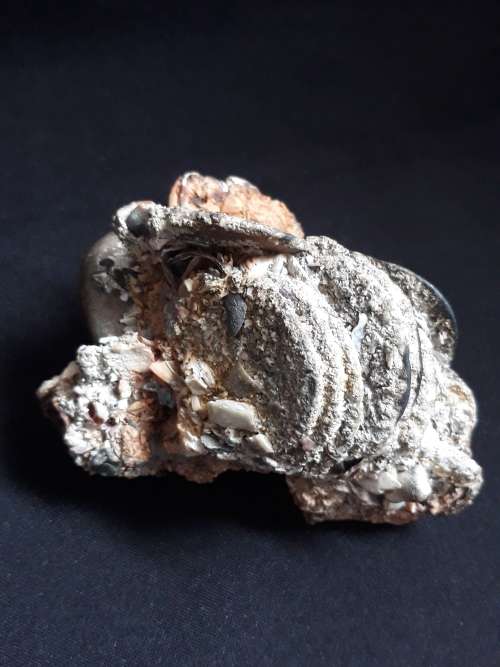 Coin Cluster /  Conglomerate Of Silver Rider Coins ** Retrieved from Shipwreck Meerensteijn Q9