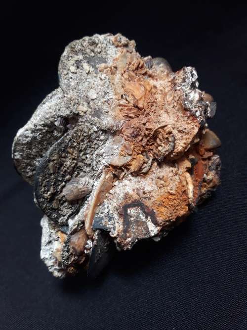 Coin Cluster /  Conglomerate Of Silver Rider Coins ** Retrieved from Shipwreck Meerensteijn Q9