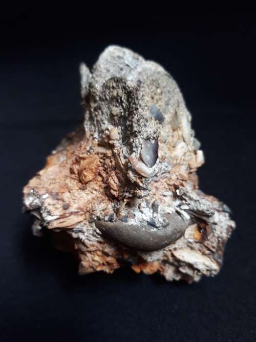 Coin Cluster /  Conglomerate Of Silver Rider Coins ** Retrieved from Shipwreck Meerensteijn Q9