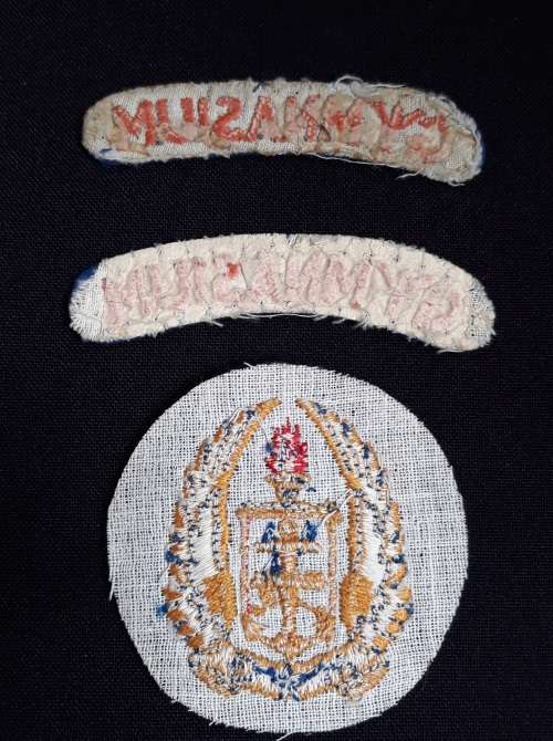 SA Army  Military Gymnasium Cloth Badges        D1