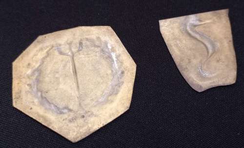 SA. Navy Independent Ship and Air Sea Rescue Flotilla Two - Piece STRIKE PLATE ` RARE`      SS18