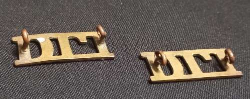 SA. D.L.I. Durban Light Infantry Shoulder Titles               G10