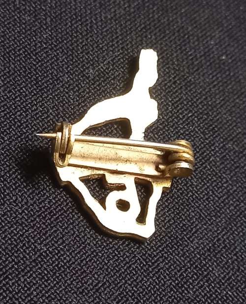 5 Jaar Republiek Van Suid Africa Lapel Badge               U4