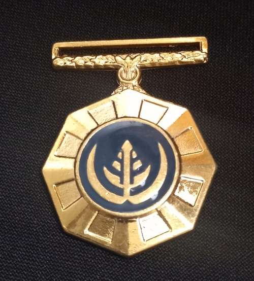 SADF Pro Patria Medal    319660               L4