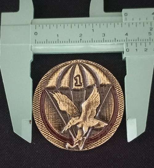 1 Parachute Battalion  SINCE 1961 Medallion   Size: 40mm Diameter     No.13