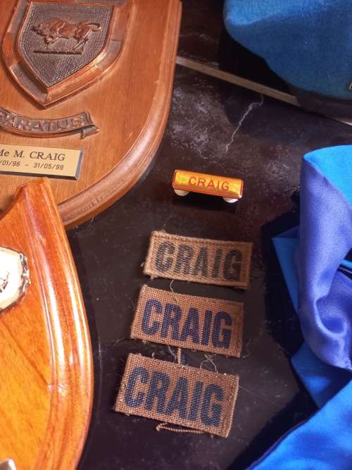 Collection Of KAPT / LT KOL / KOL / KMDT M.J CRAIG  Plaques and Insignia  `` One BID For The LOT ``