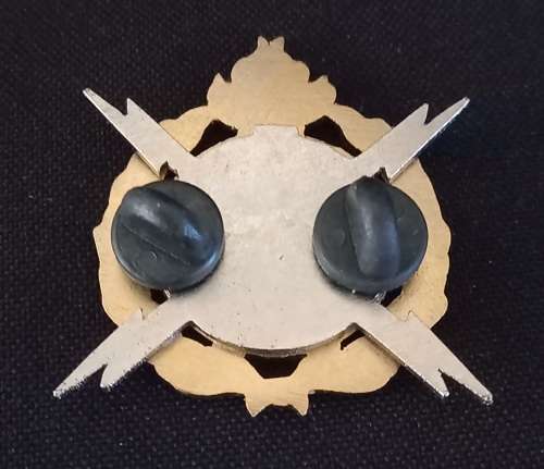 SAPS Bomb Disposal Proficiency Breast Badge      Size: 51 x 51mm                 X2