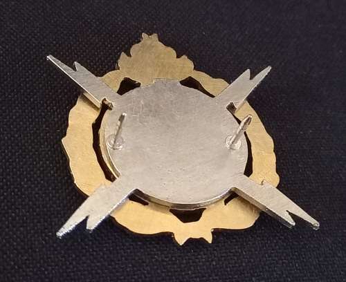 SAPS Bomb Disposal Proficiency Breast Badge      Size: 51 x 51mm                 X2