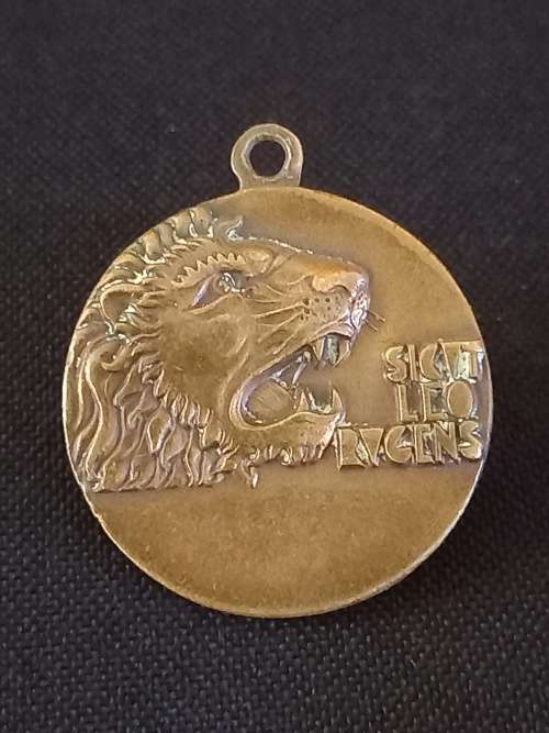 Italian Colonial Troops 10th COLONIAL BRIGADE African Campaign Medal      `` WoW ``     X 24