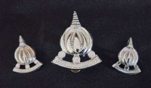SA. Financial Service Corps Cap And Collar Badges                    X27