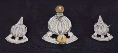 SA. Financial Service Corps Cap And Collar Badges                    X27