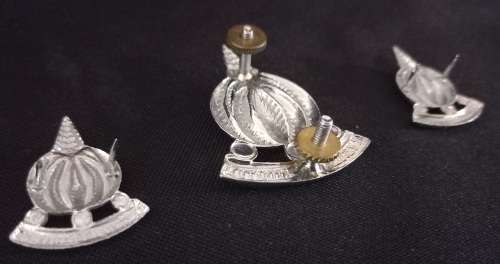 SA. Financial Service Corps Cap And Collar Badges                    X27