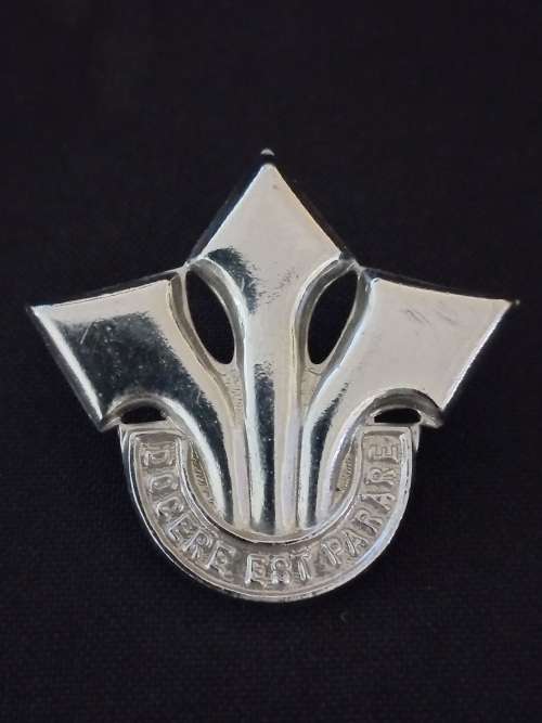 SADF. Corps Of Professional Officers Cap Badge                X33