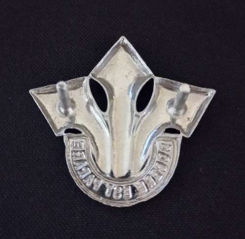 SADF. Corps Of Professional Officers Cap Badge                X33