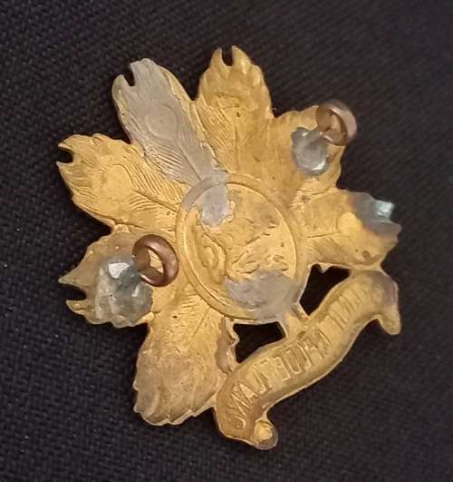 Infantry Regiment Oranje Gelderland Collar Badge   Size: 35 x 40mm              X48
