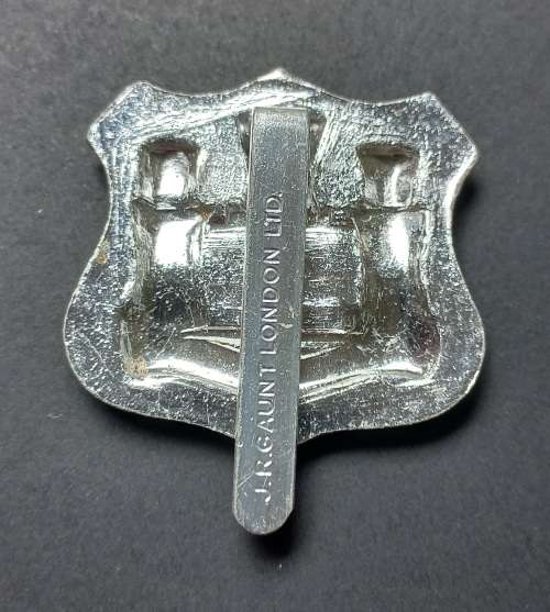 Dorset Territorials WHO`S A - FEAR`D Anodized Stay Brite Army Cap Badge          X75