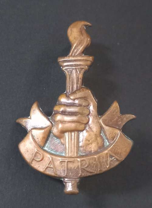 Youth Training Brigade Cap Badge                   X124