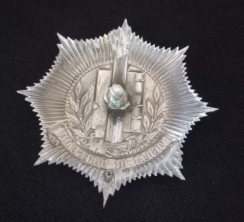 Dutch Police Helmet Plate ( Vigilant UT Quiescant)      X143