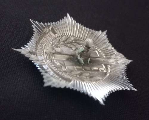 Dutch Police Helmet Plate ( Vigilant UT Quiescant)      X143