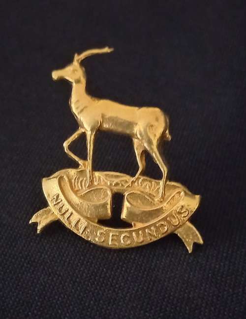 Pretoria Regiment Beret Badge             X144