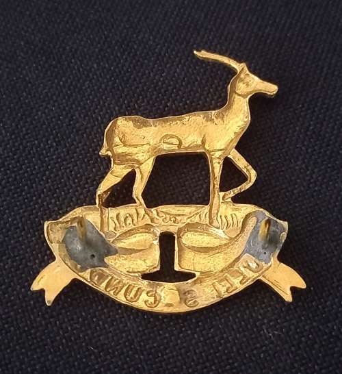 Pretoria Regiment Beret Badge             X144
