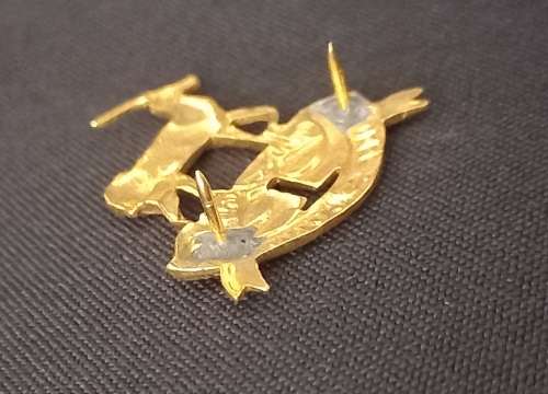 Pretoria Regiment Beret Badge             X144