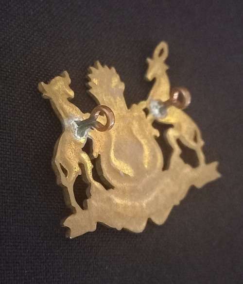 Bloemfontein Traffic Police Badge                 X151