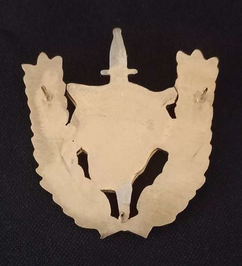 Angolan Executive Outcomes Recce Operators Badge           X162