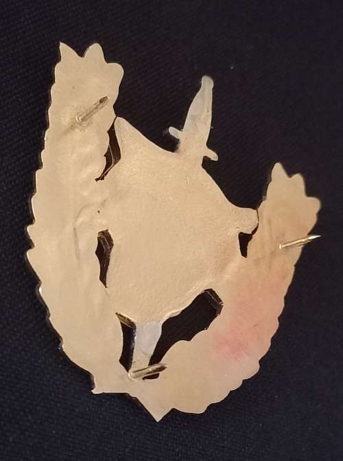 Angolan Executive Outcomes Recce Operators Badge           X162