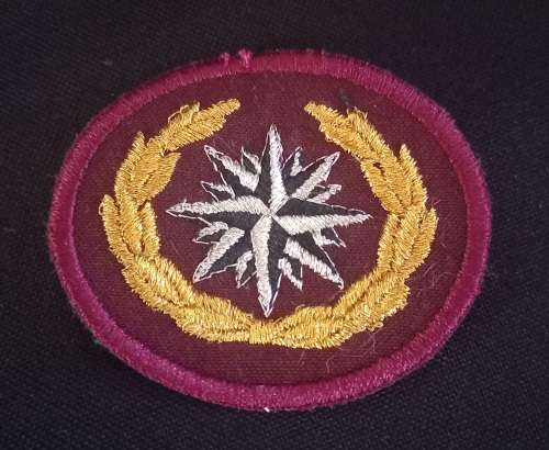 Reconnaissance Commando beret badge                      X188