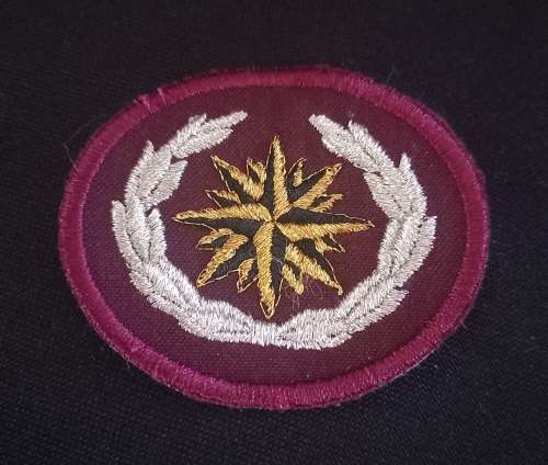 SADF Recce special Forces beret cloth badge        X189