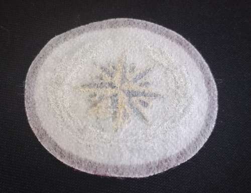 SADF Recce special Forces beret cloth badge        X189