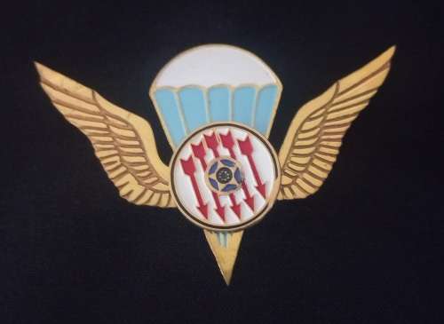 RENAMO Parachute Wing                          X198