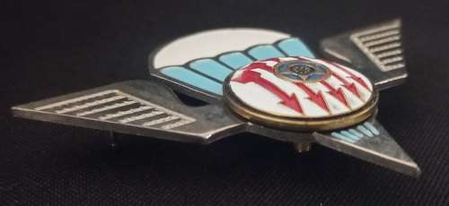 FULL SIZE WINGS WORN BY QUALIFIED RENAMO PARACHUTISTS & BY SA RECCE INSTRUCTORS                 X197