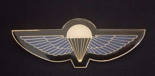 Hunter Group Parachute Metal Wing                           X200