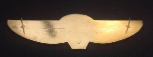 Hunter Group Parachute Metal Wing                           X200