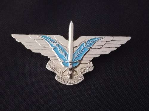 CISKEI SWORD OF THE NATION (SPECIAL FORCES) BERET BADGE                X204