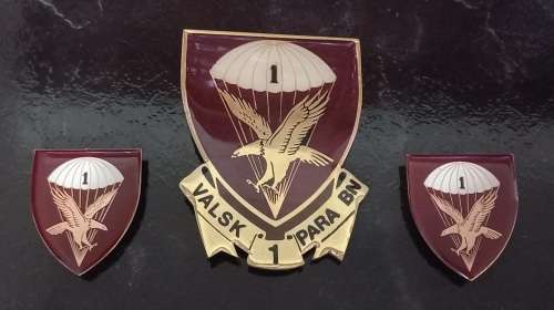 1 PARACHUTE BATTALION SADF Shoulder flashes + Plaque    ( NOTE One Pin Missing on Plaque)    W3