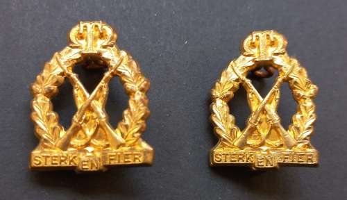 Regiment Tobie Muller Collar Badges STERK EN FIER               F17