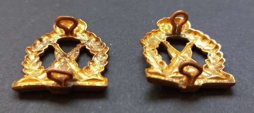 Regiment Tobie Muller Collar Badges STERK EN FIER               F17